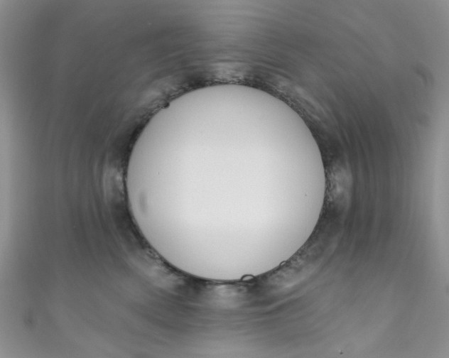 X0000111020522200907022201