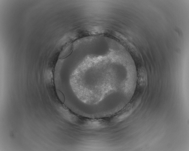 X0000111020523200907022201