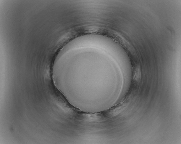 X0000111020524200907022201