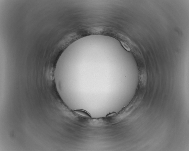 X0000111020525200907022201