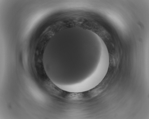 X0000111020526200907022201