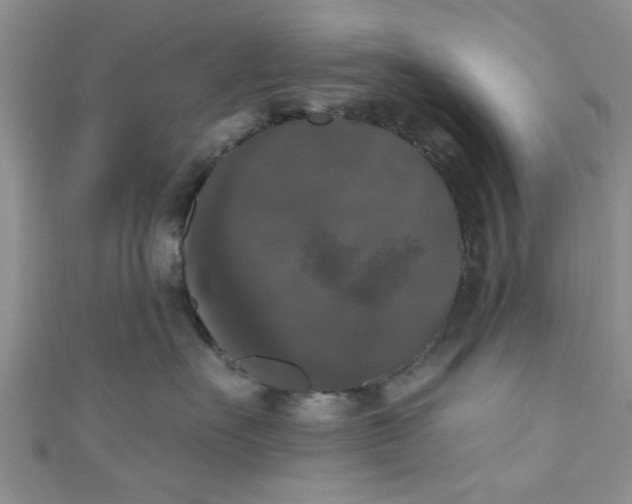 X0000111020527200907022201