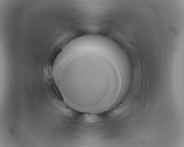 X0000111020528200907022201