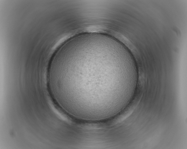X0000111020530200907022200