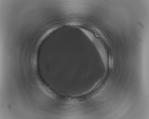 X0000111020531200907022200