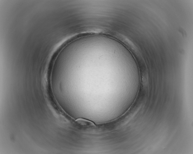 X0000111020532200907022200