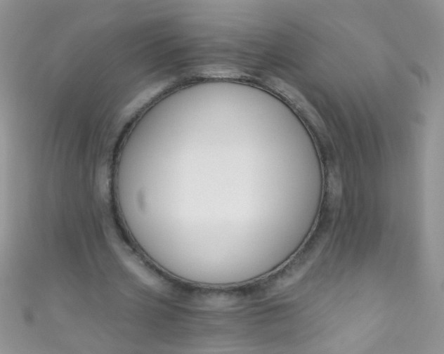 X0000111020533200907022200