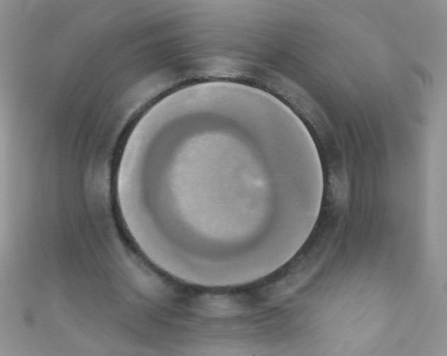 X0000111020534200907022200