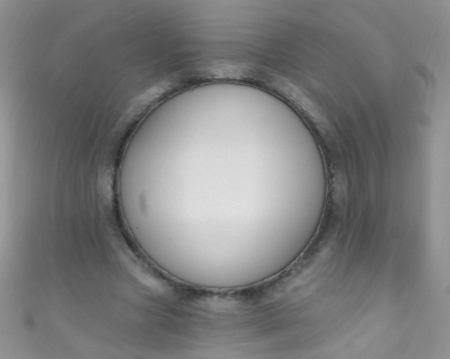X0000111020537200907022200