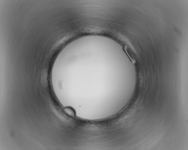 X0000111020538200907022200