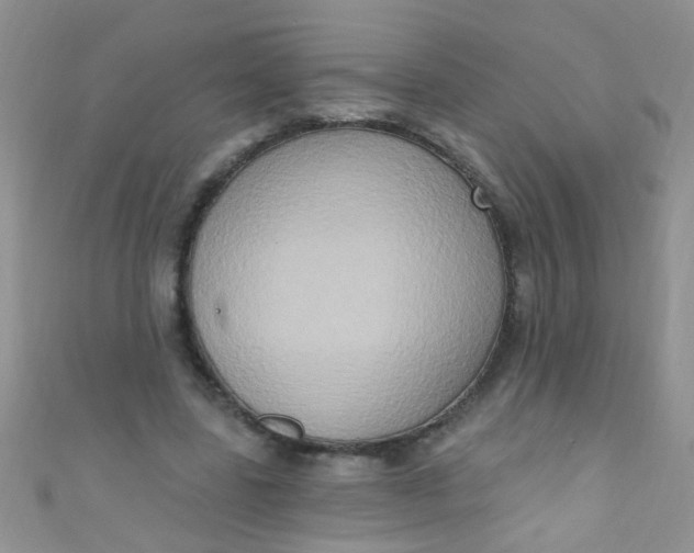 X0000111020539200907022200
