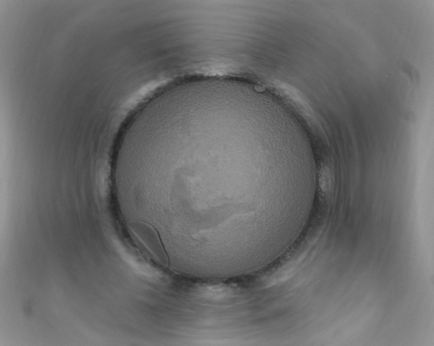 X0000111020540200907022200