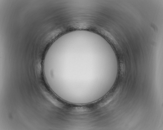 X0000111020541200907022200