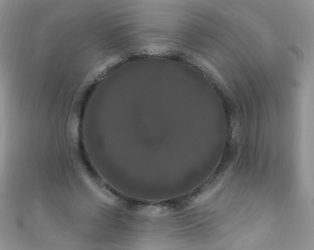 X0000111020542200907022200