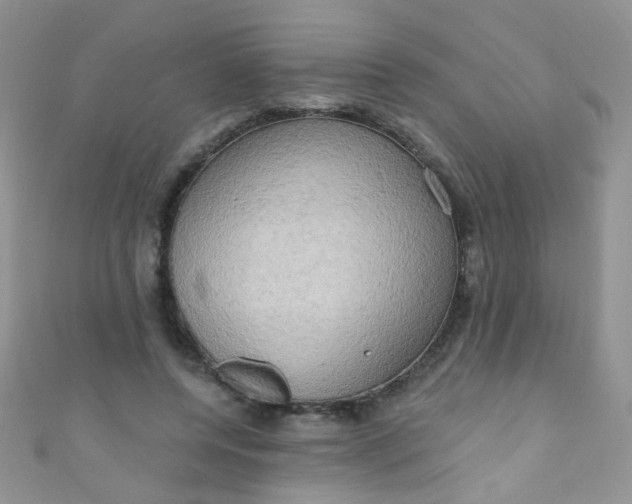 X0000111020544200907022200