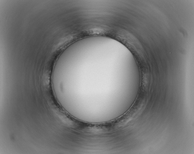 X0000111020545200907022200