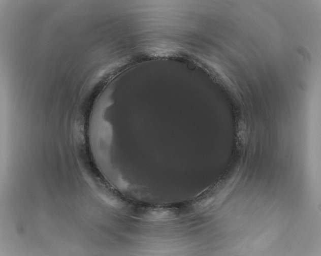 X0000111020547200907022200