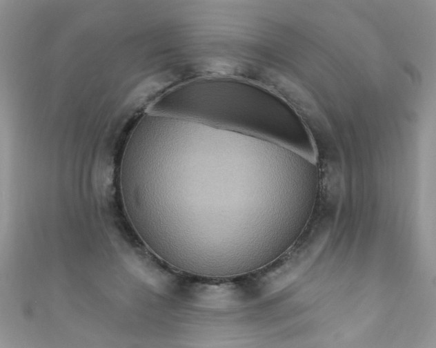X0000111020548200907022200