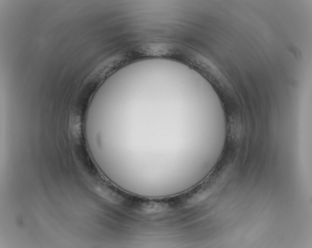 X0000111020549200907022200
