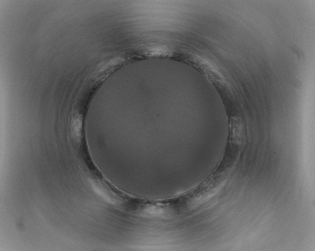 X0000111020550200907022201