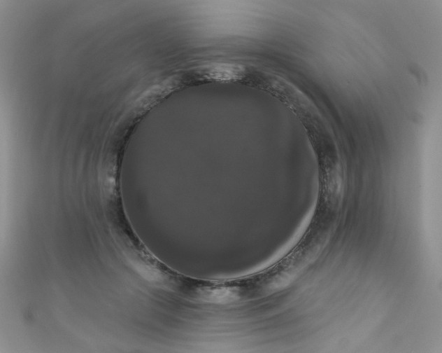 X0000111020553200907022201