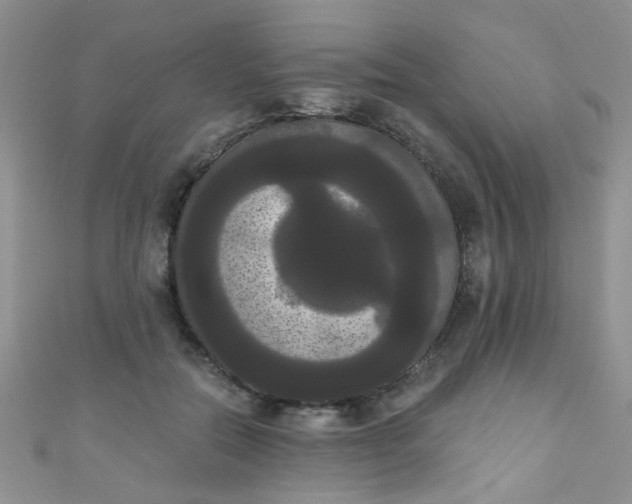 X0000111020554200907022201