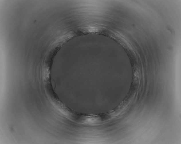 X0000111020555200907022201