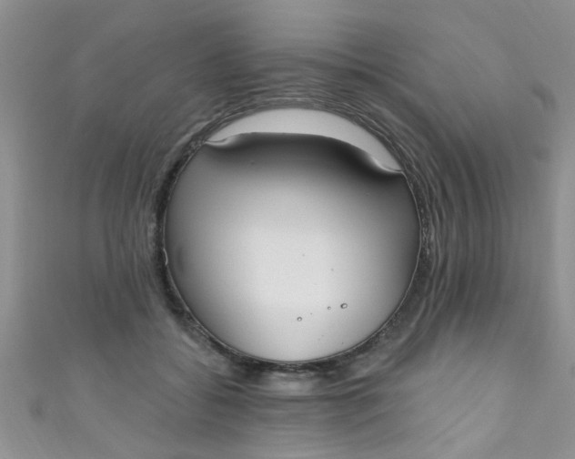 X0000111020556200907022201