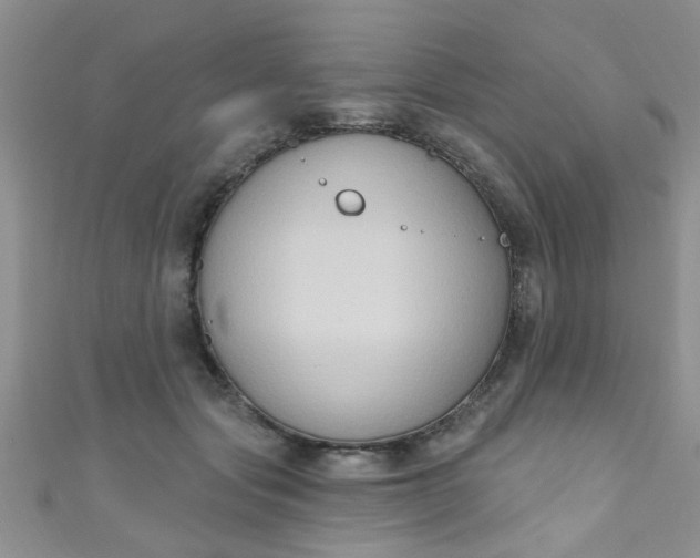 X0000111020557200907022201