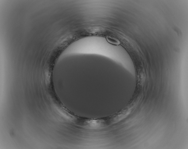 X0000111020558200907022201