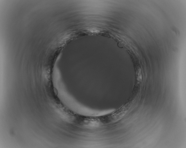 X0000111020559200907022201
