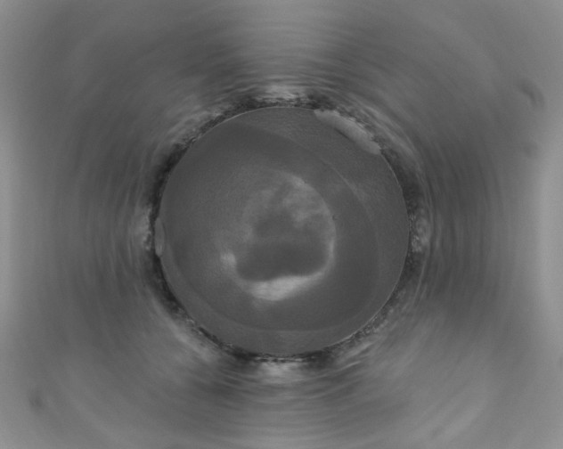 X0000111020560200907022201