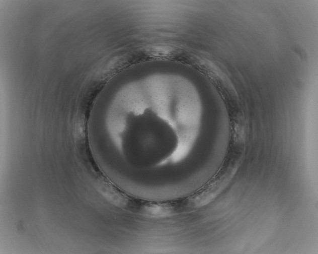 X0000111020561200907022201