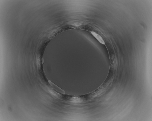 X0000111020562200907022201