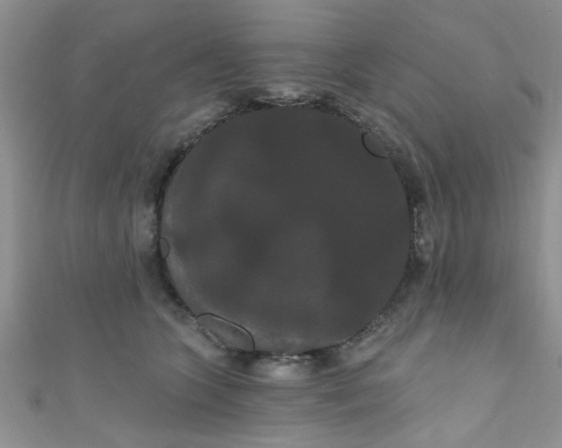 X0000111020563200907022201