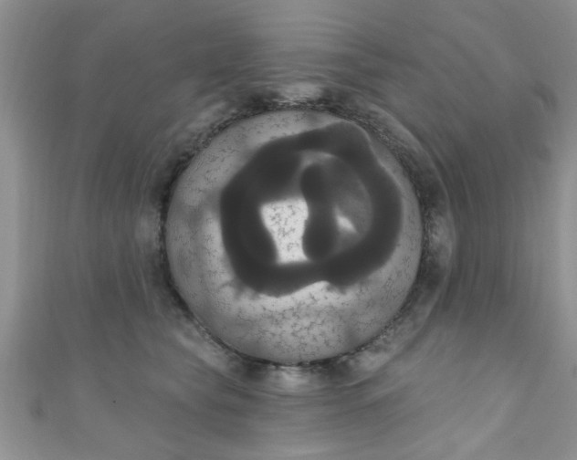 X0000111020565200907022201