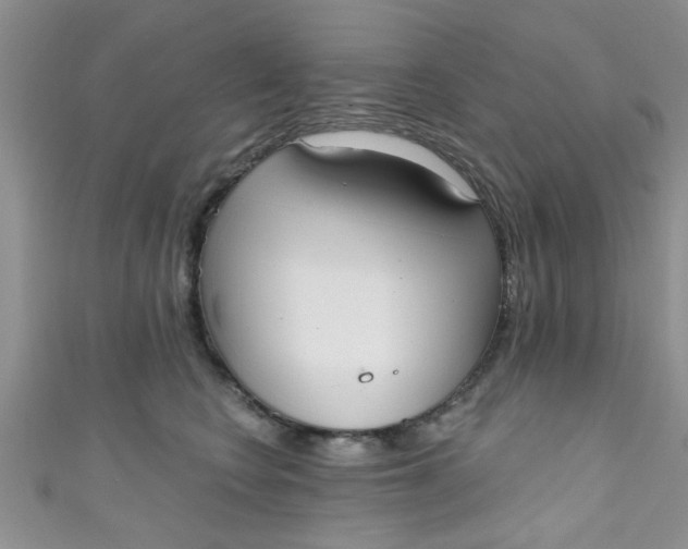 X0000111020566200907022201