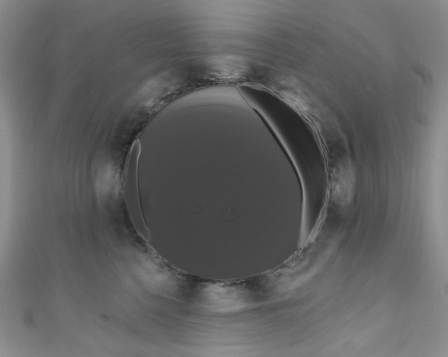 X0000111020568200907022201