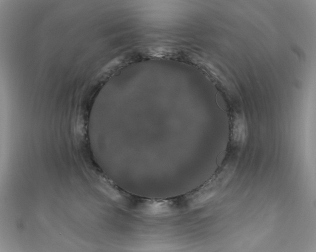 X0000111020569200907022201