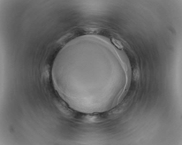 X0000111020570200907022201