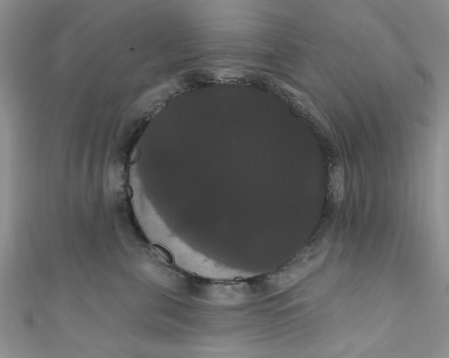 X0000111020571200907022201