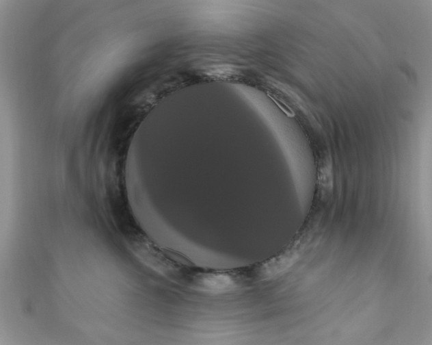 X0000111020572200907022201