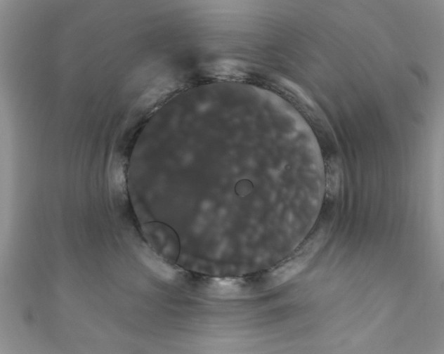 X0000111020573200907022201