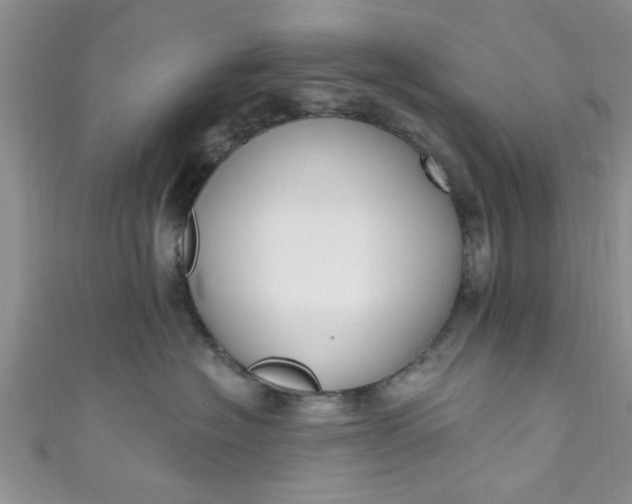 X0000111020574200907022201