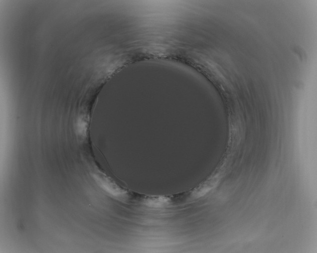 X0000111020576200907022201