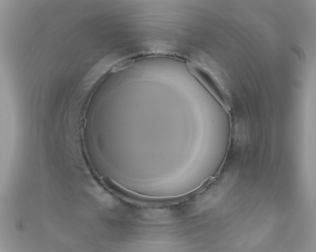 X0000111020577200907022200