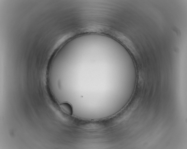 X0000111020578200907022200