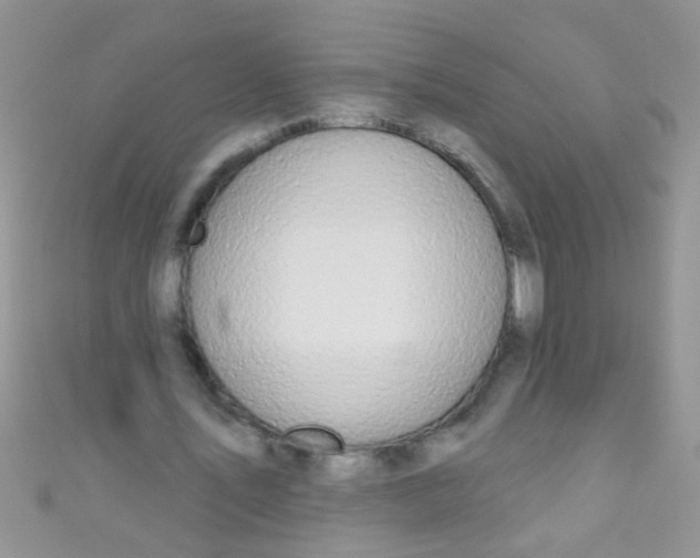 X0000111020579200907022200