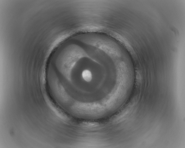 X0000111020582200907022200