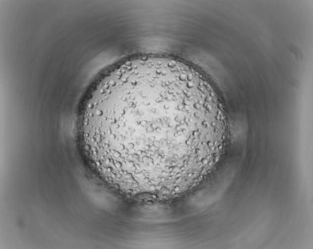 X0000111020583200907022200